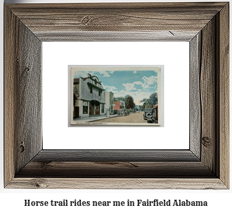 horse trail rides near me in Fairfield, Alabama